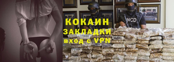 прущие грибы Кинешма