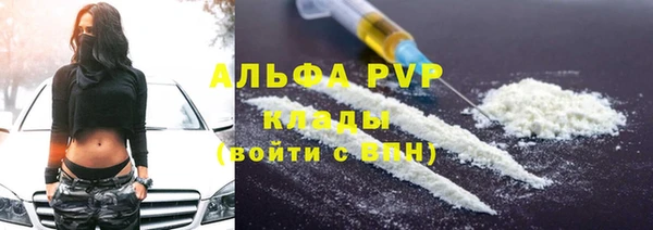 прущие грибы Кинешма