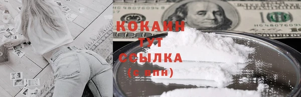 прущие грибы Кинешма