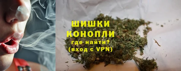 прущие грибы Кинешма